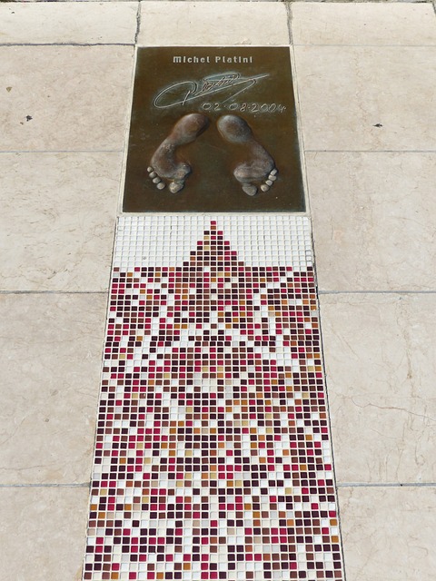 体游泳学院