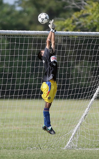 中进一步提 中进一步提