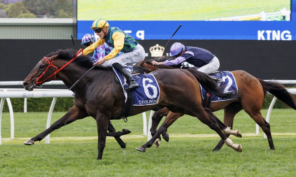 云南乃至中 云南乃至中