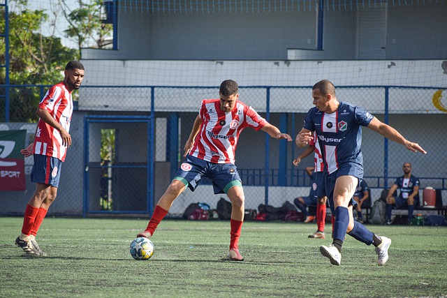 的世界里 的世界里