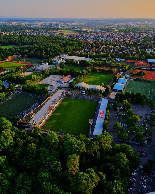 近期的一番 近期的一番