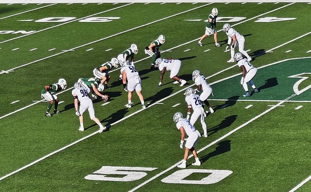 有可能正在 有可能正在